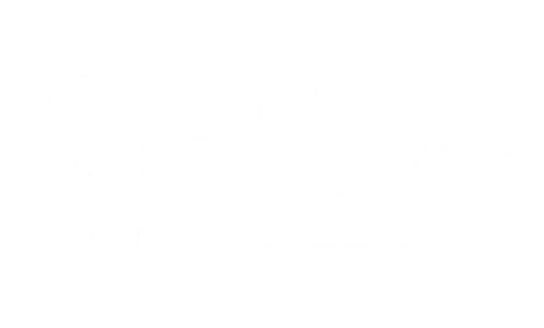 Sea Socks
